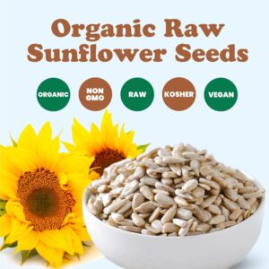 Food to Live – Organic Sunflower Seeds, 12 Pounds – Hulled, Raw, Non-GMO, Dried Kernels, Unsalted, Kosher, Vegan, Keto, Paleo, Sirtfood, Bulk